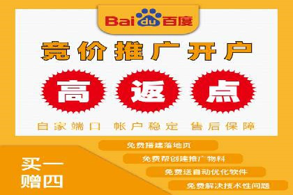 案例分析：高效信息流广告投放策略